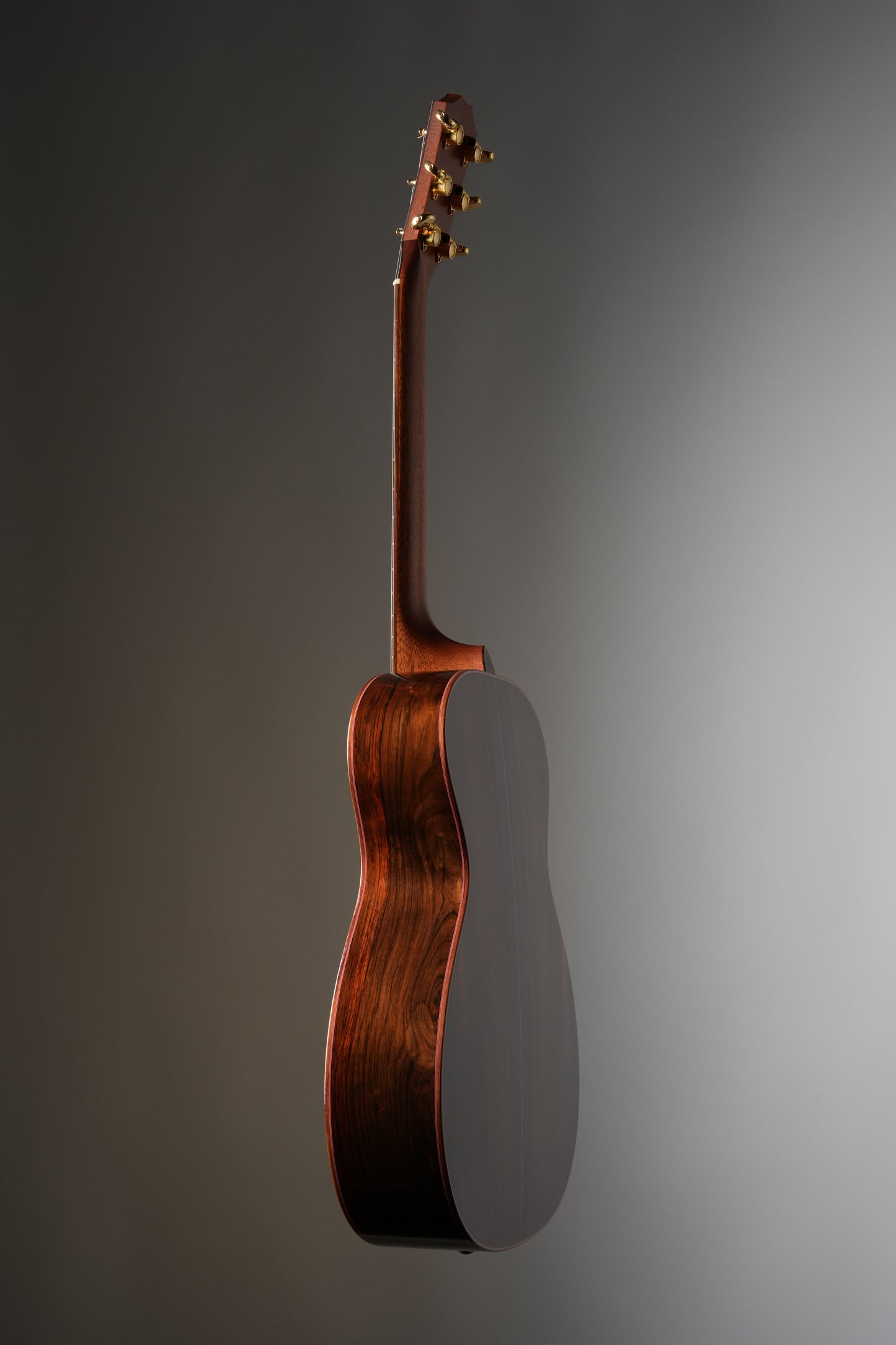 Taylor (1996) PS12 #2 of 26 Presentation Model Acoustic guitar - Natural, incl. OHSC