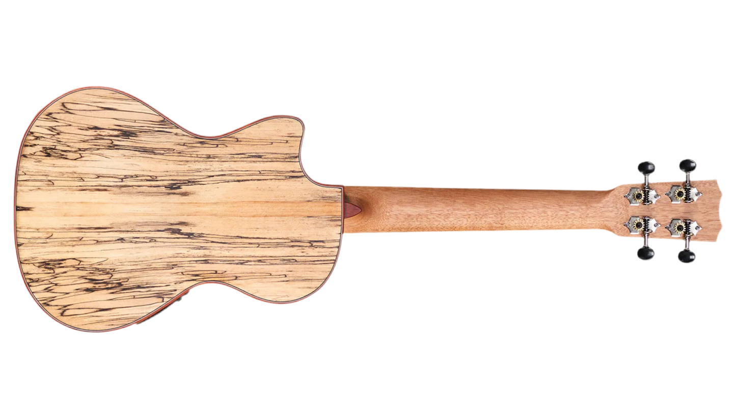 Cordoba 24T-CE Tenor Ukulele - Natural