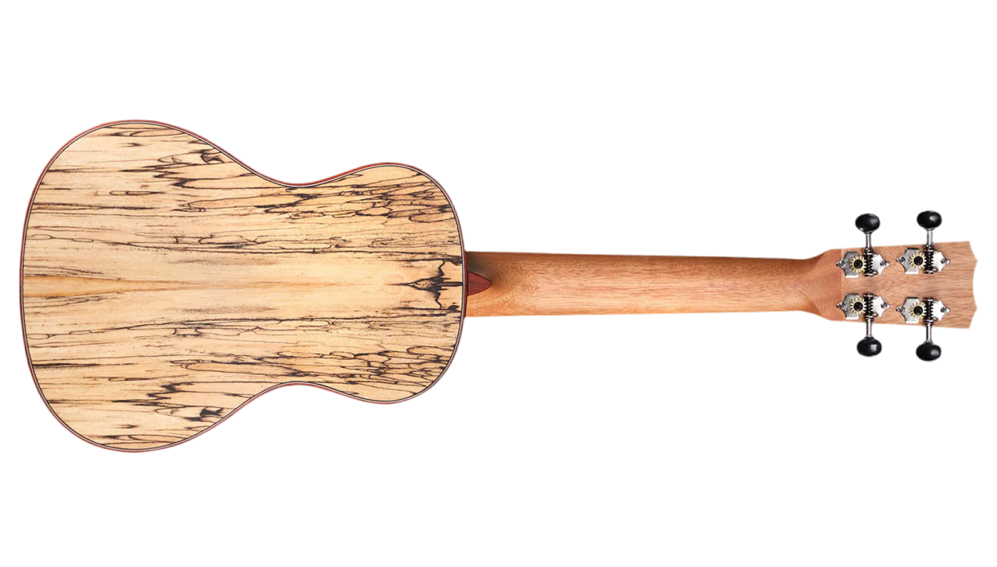 Cordoba 24C Concert Ukulele - Natural