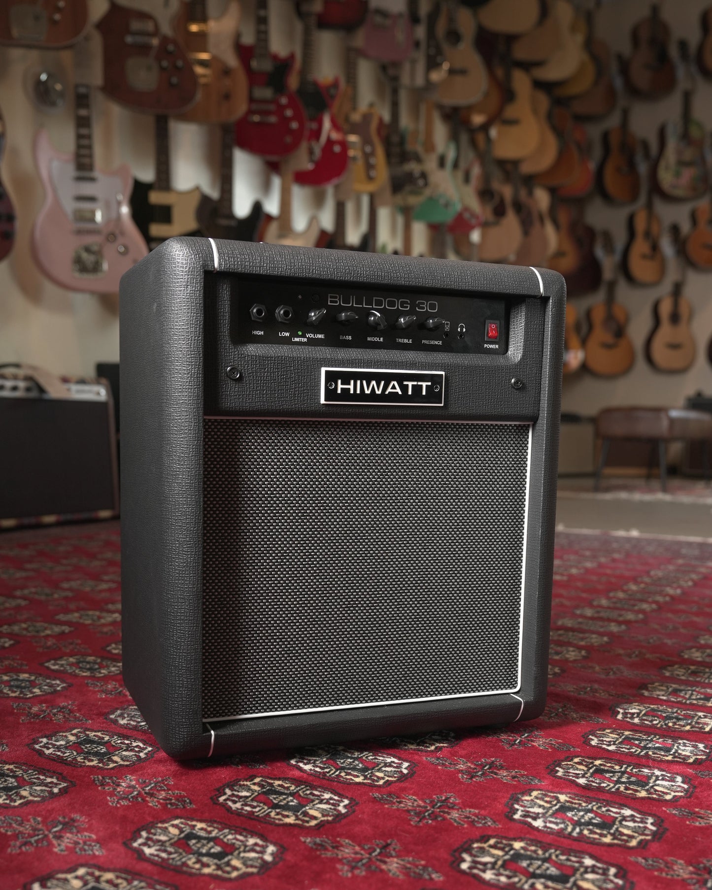 Hiwatt Bulldog 30 30w 1x10" Solid State Bass Amp Combo - Black Tolex