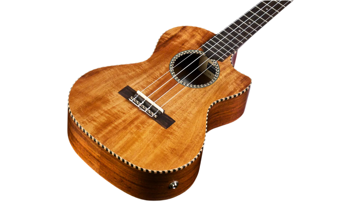 Cordoba 25T-CE Tenor Ukulele - Natural
