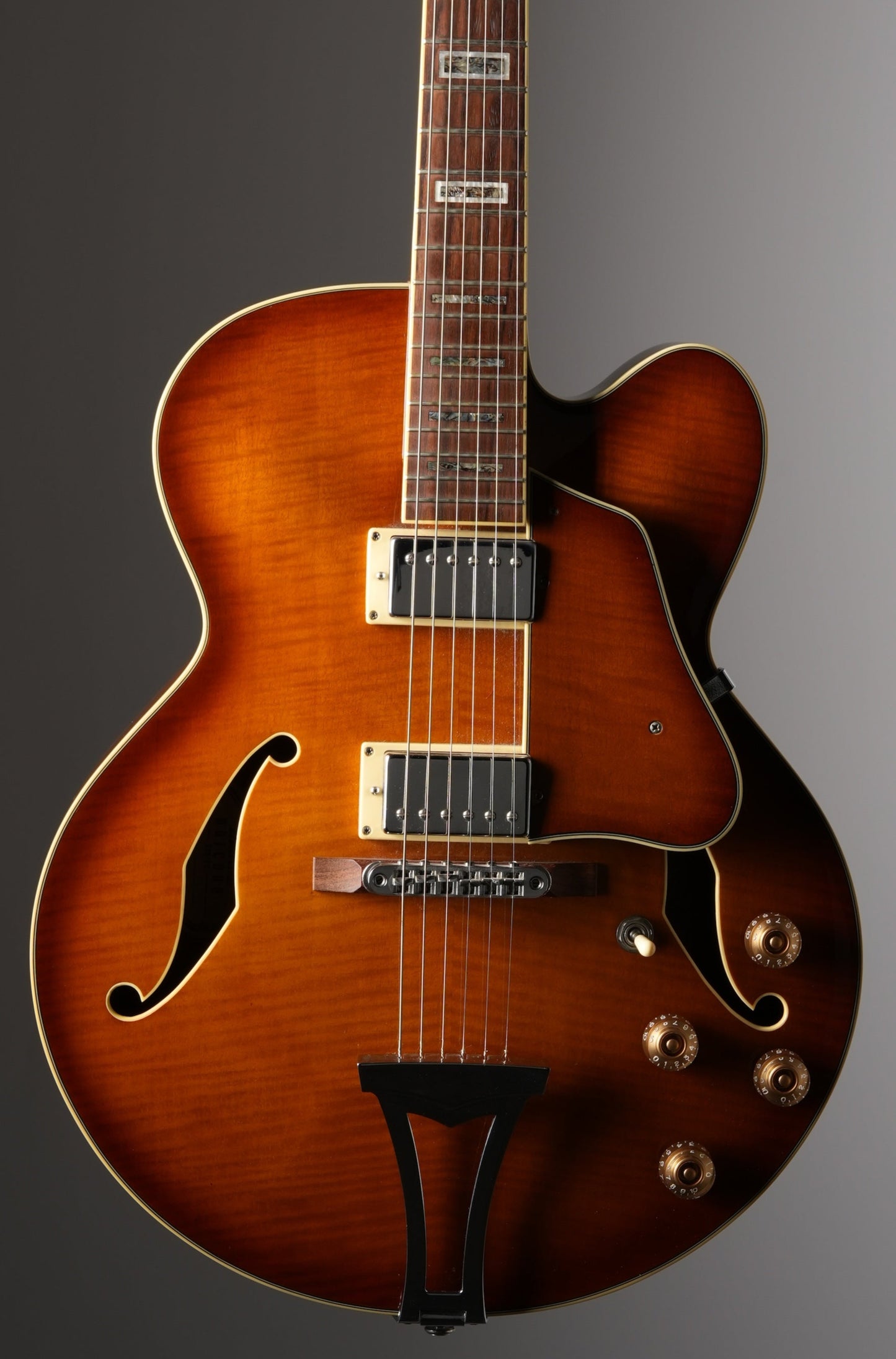 Ibanez Artcore AF 95-ALS