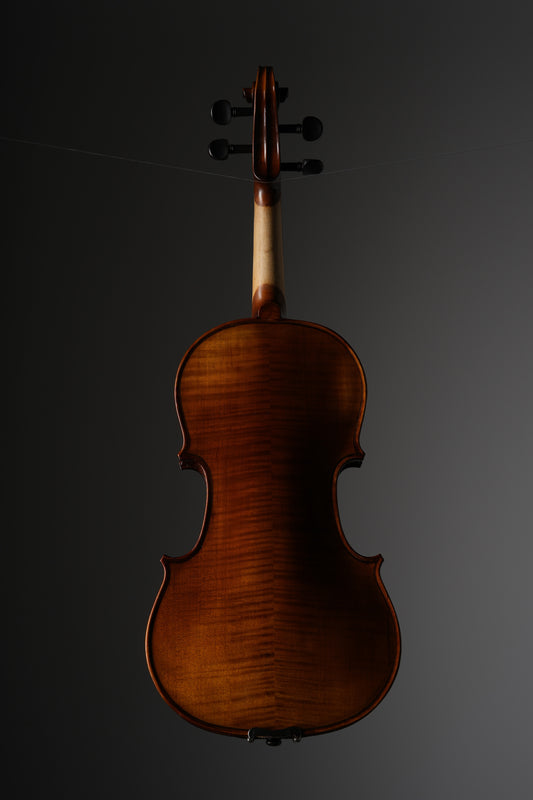 Cremona Violin SV-500 incl. case