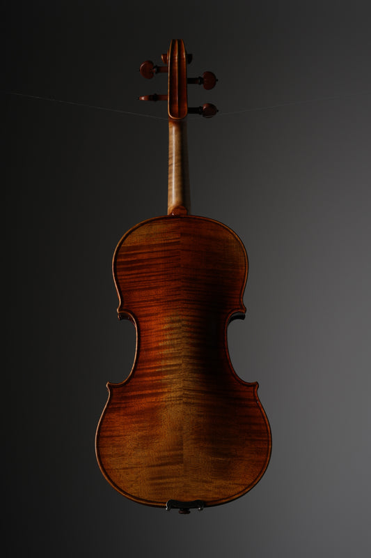 Cremona Violin SV-800 incl. case