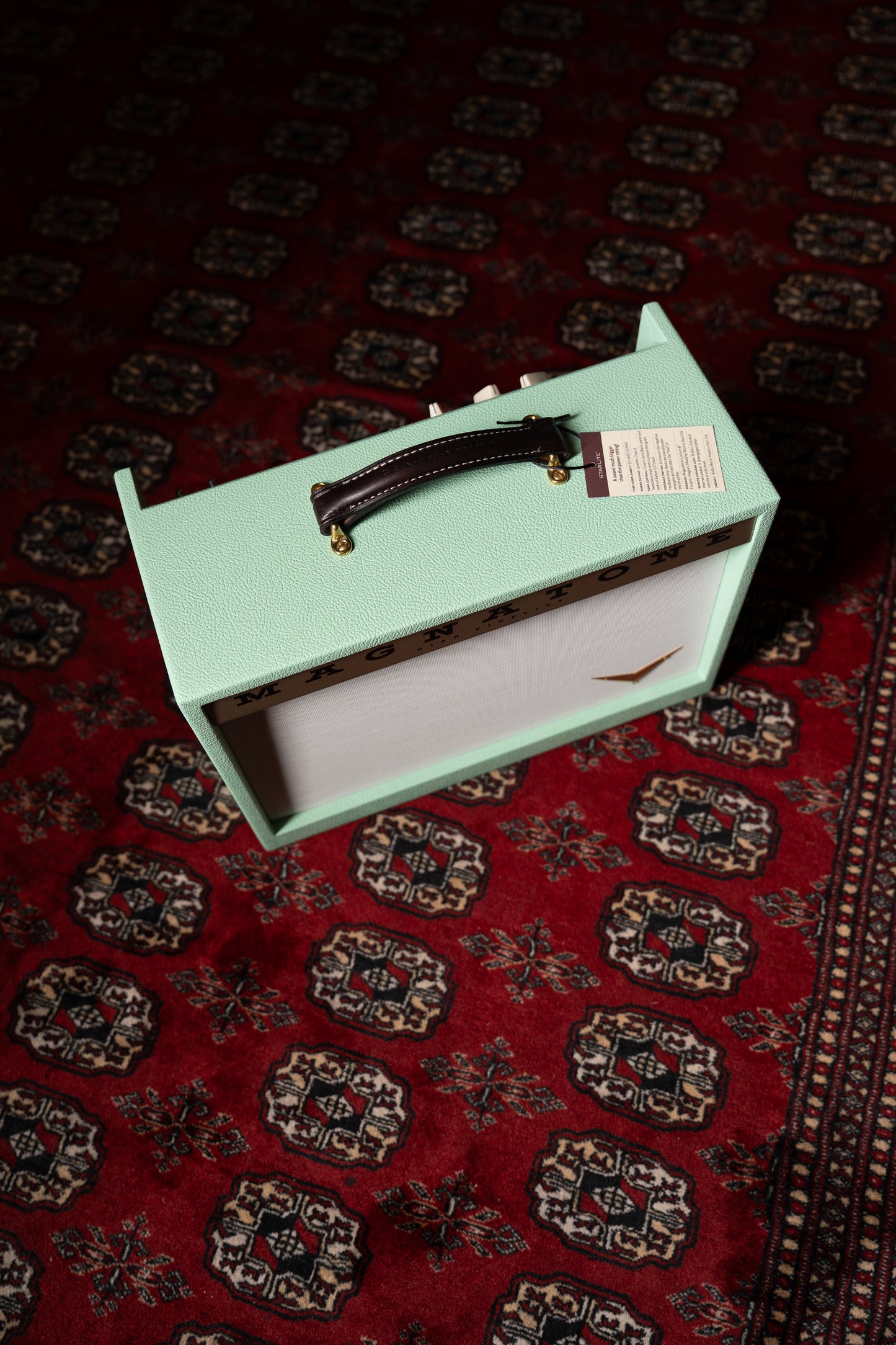 Magnatone Starlite Reverb 5w 1x8" Tube Guitar Amp Combo - Custom Seafoam Green w/ White Sparkle Grille
