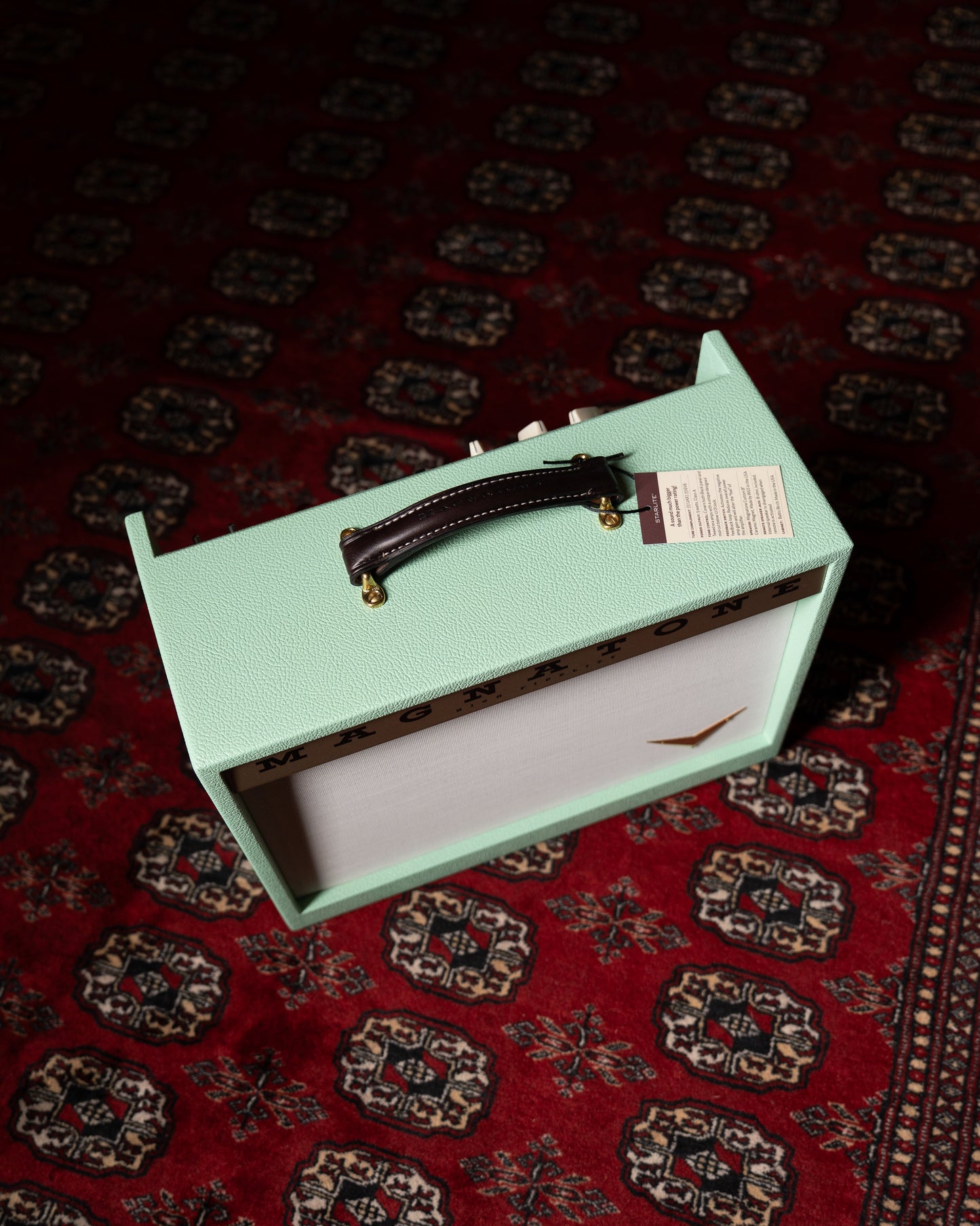 Magnatone Starlite Reverb 5w 1x8" Tube Guitar Amp Combo - Custom Seafoam Green w/ White Sparkle Grille