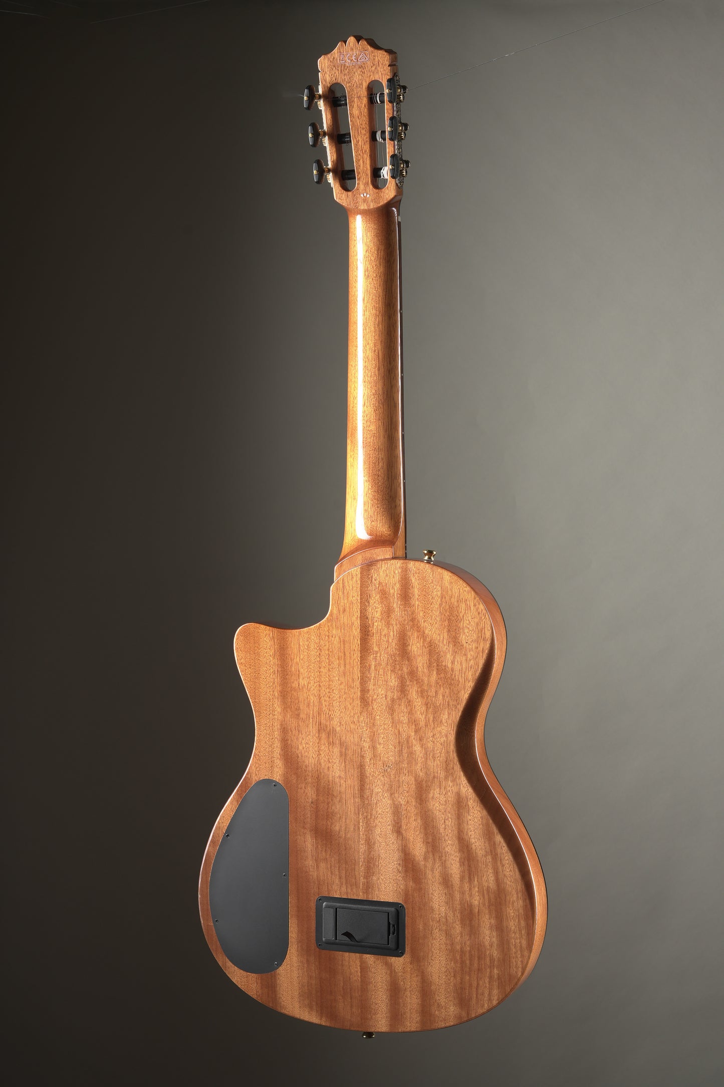 Cordoba Stage Traditional CD Semi-hollow Acoustic Electric Classical Guitar - Natural, incl. Gigbag