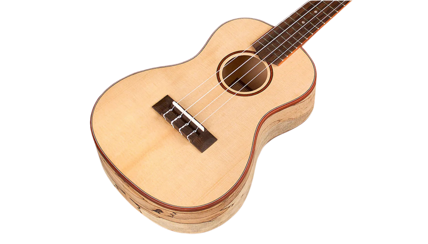 Cordoba 24C Concert Ukulele - Natural