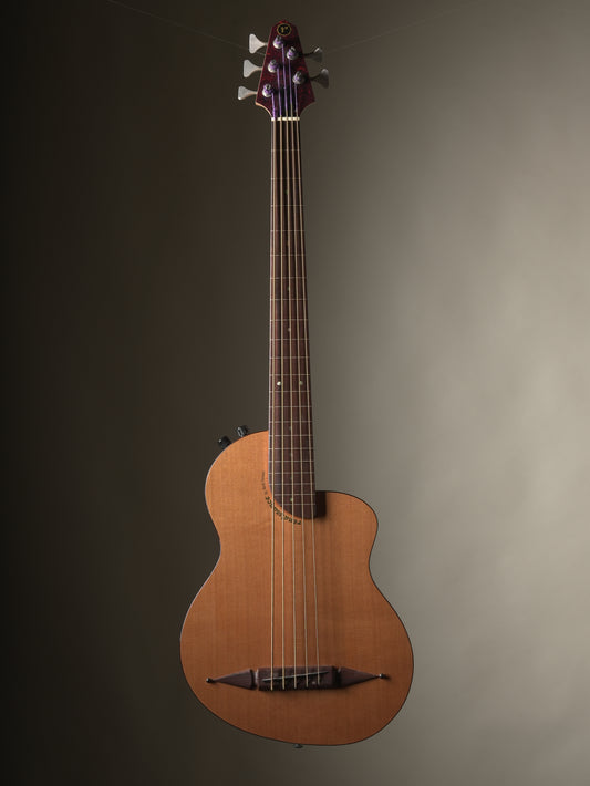 Rick Turner (2013) Renaissance RB5F 5 String Fretless Bass - Natural, incl. Gig Bag