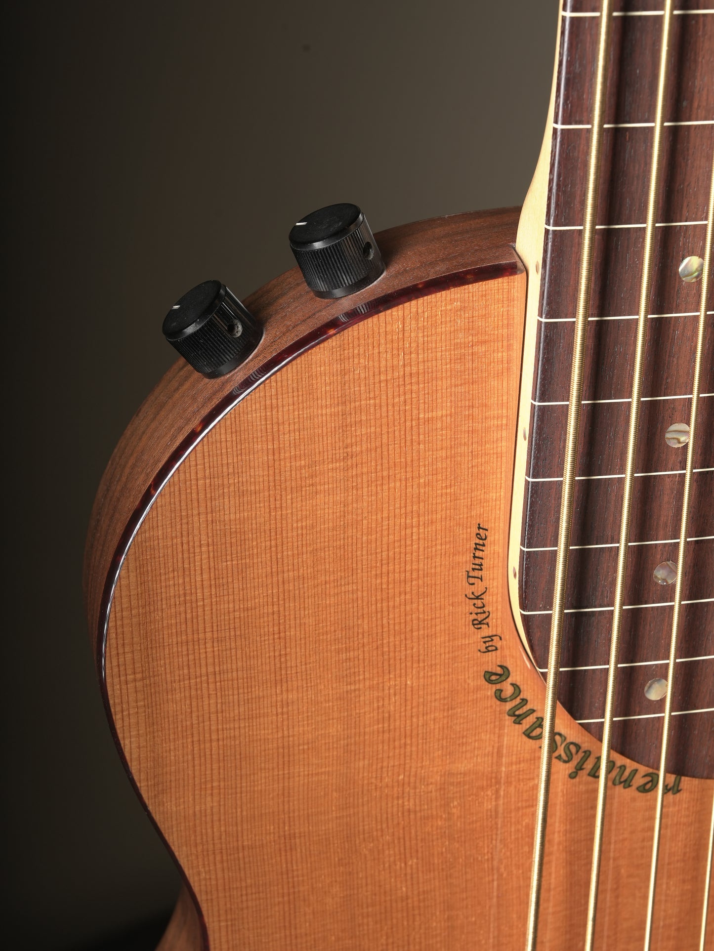 Rick Turner (2013) Renaissance RB5F 5 String Fretless Bass - Natural, incl. Gig Bag