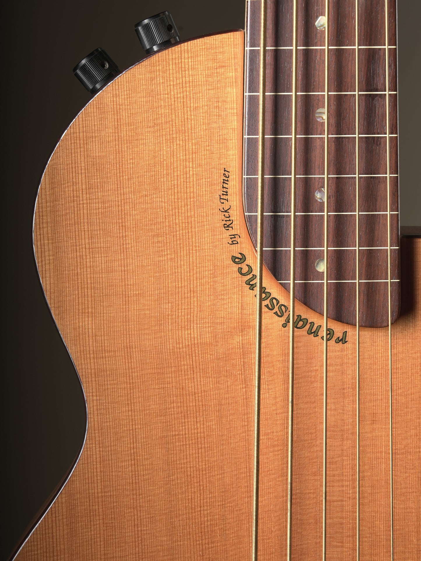 Rick Turner (2013) Renaissance RB5F 5 String Fretless Bass - Natural, incl. Gig Bag