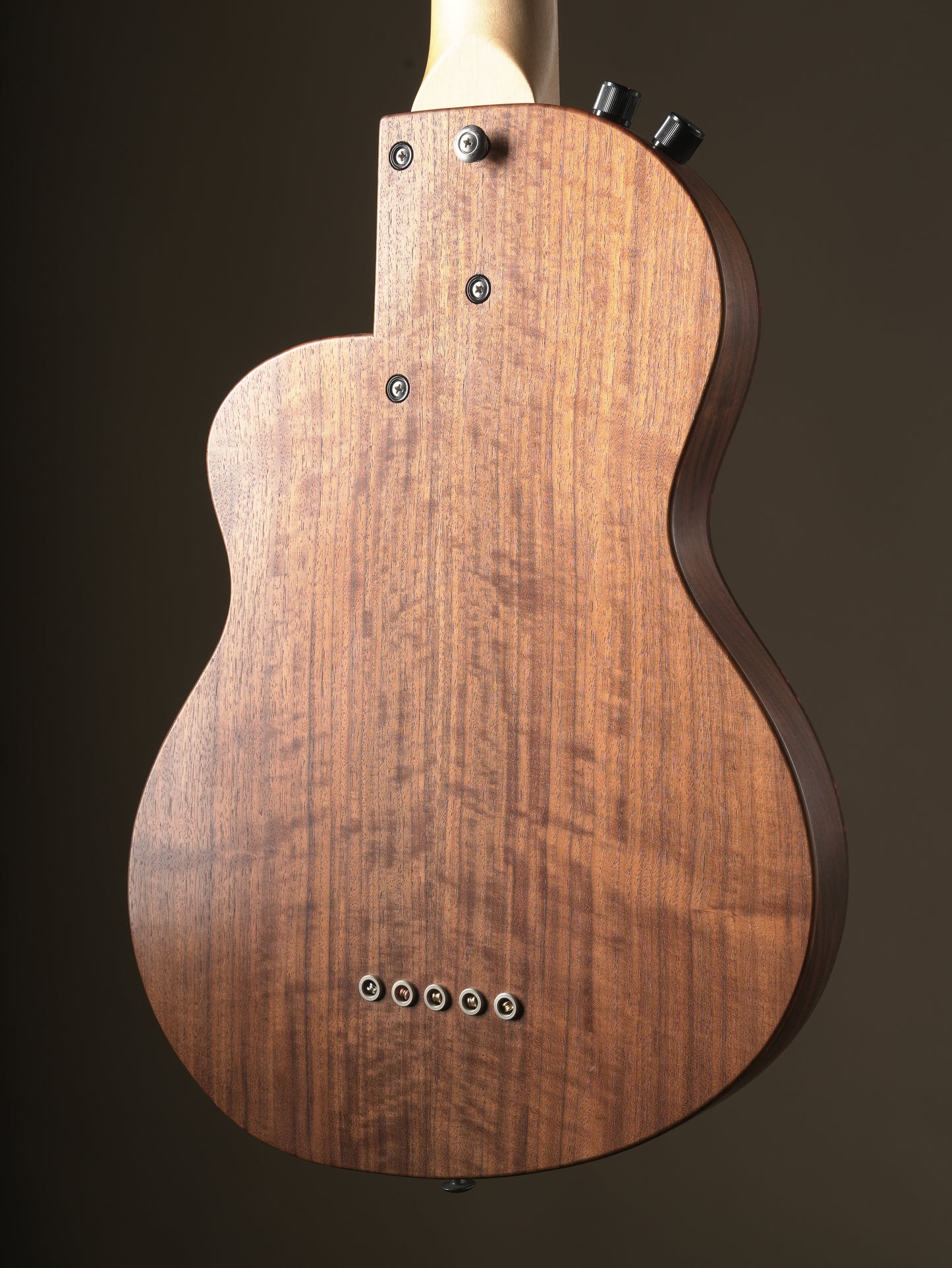 Rick Turner (2013) Renaissance RB5F 5 String Fretless Bass - Natural, incl. Gig Bag