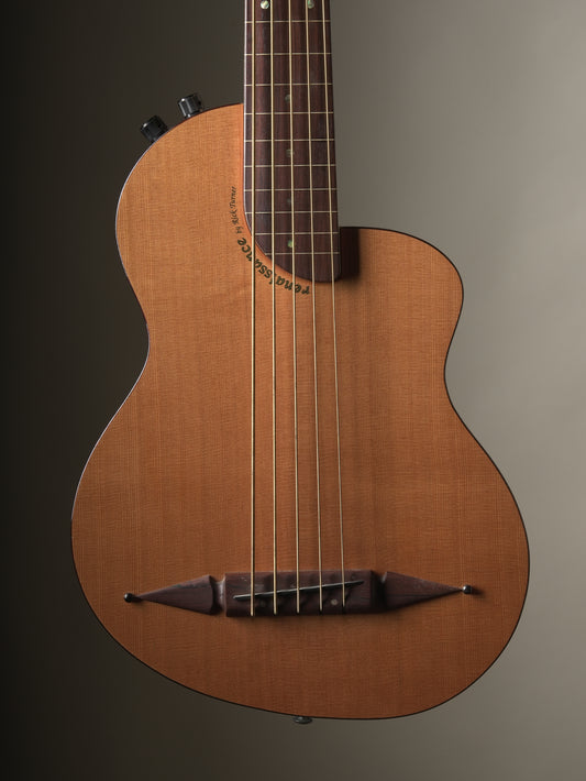 Rick Turner (2013) Renaissance RB5F 5 String Fretless Bass - Natural, incl. Gig Bag