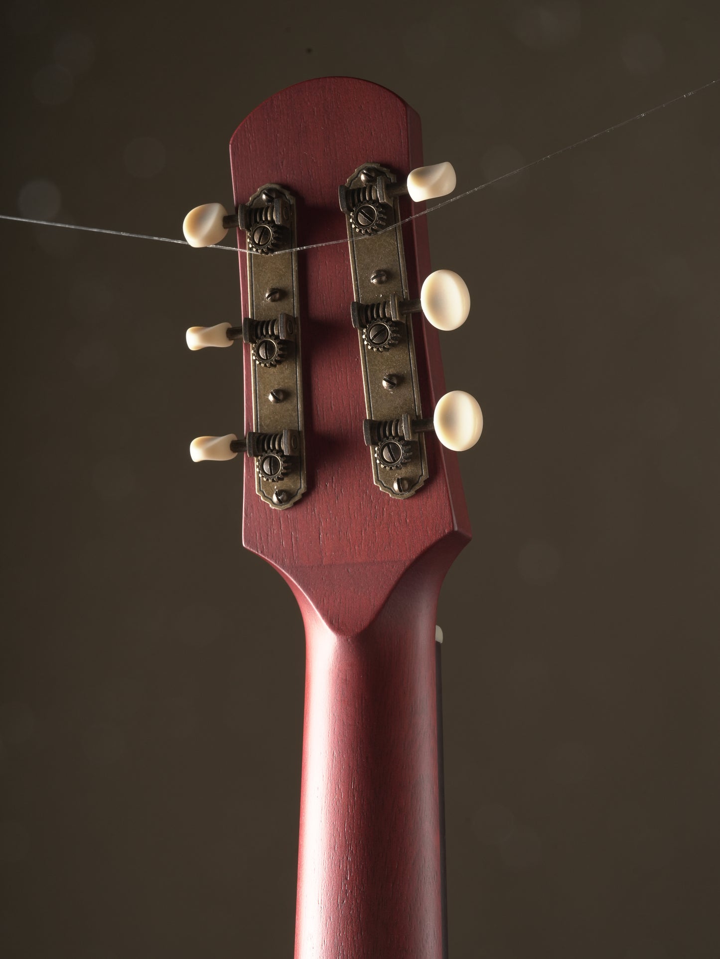Iris MS-00 Acoustic Guitar - Cherry Burst, incl. OHSC