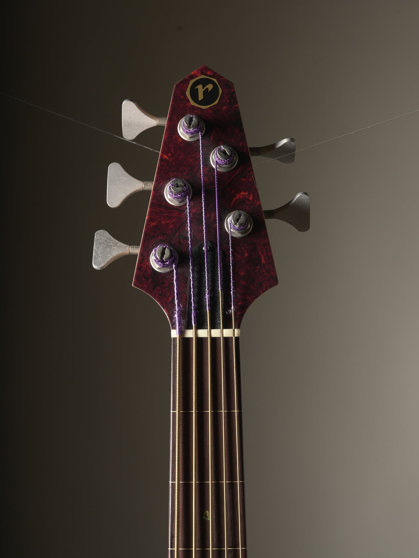 Rick Turner (2013) Renaissance RB5F 5 String Fretless Bass - Natural, incl. Gig Bag