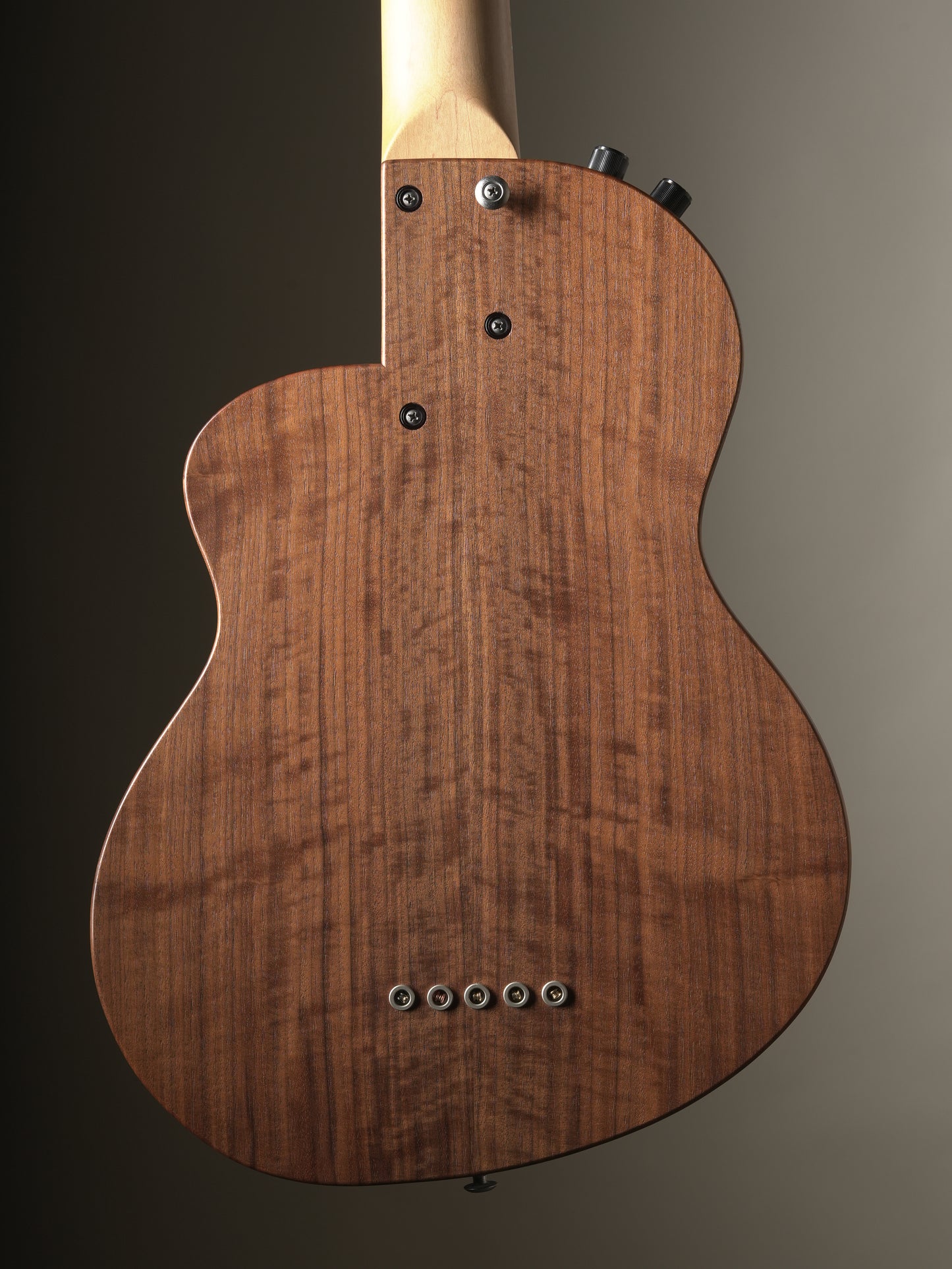 Rick Turner (2013) Renaissance RB5F 5 String Fretless Bass - Natural, incl. Gig Bag