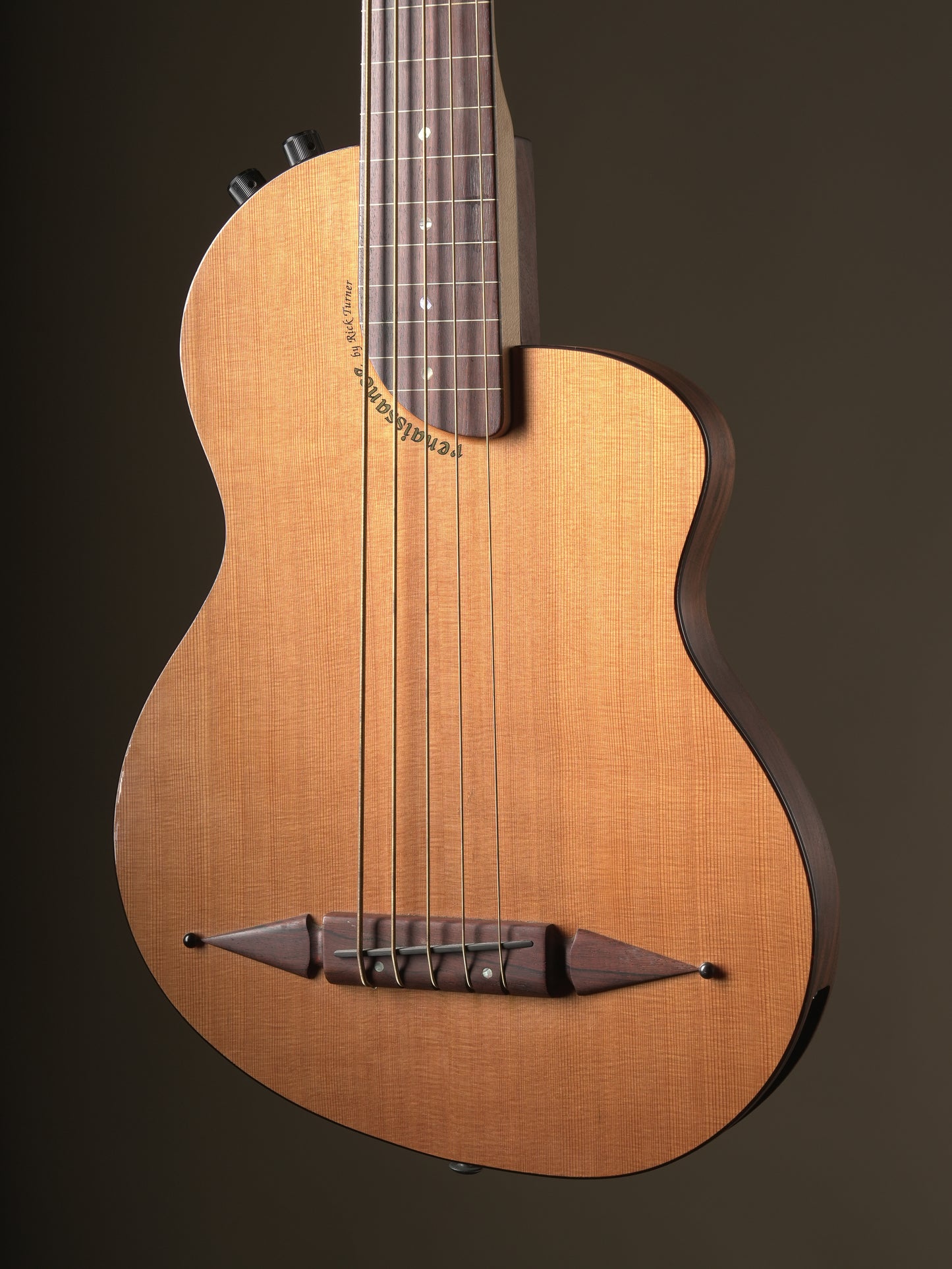 Rick Turner (2013) Renaissance RB5F 5 String Fretless Bass - Natural, incl. Gig Bag