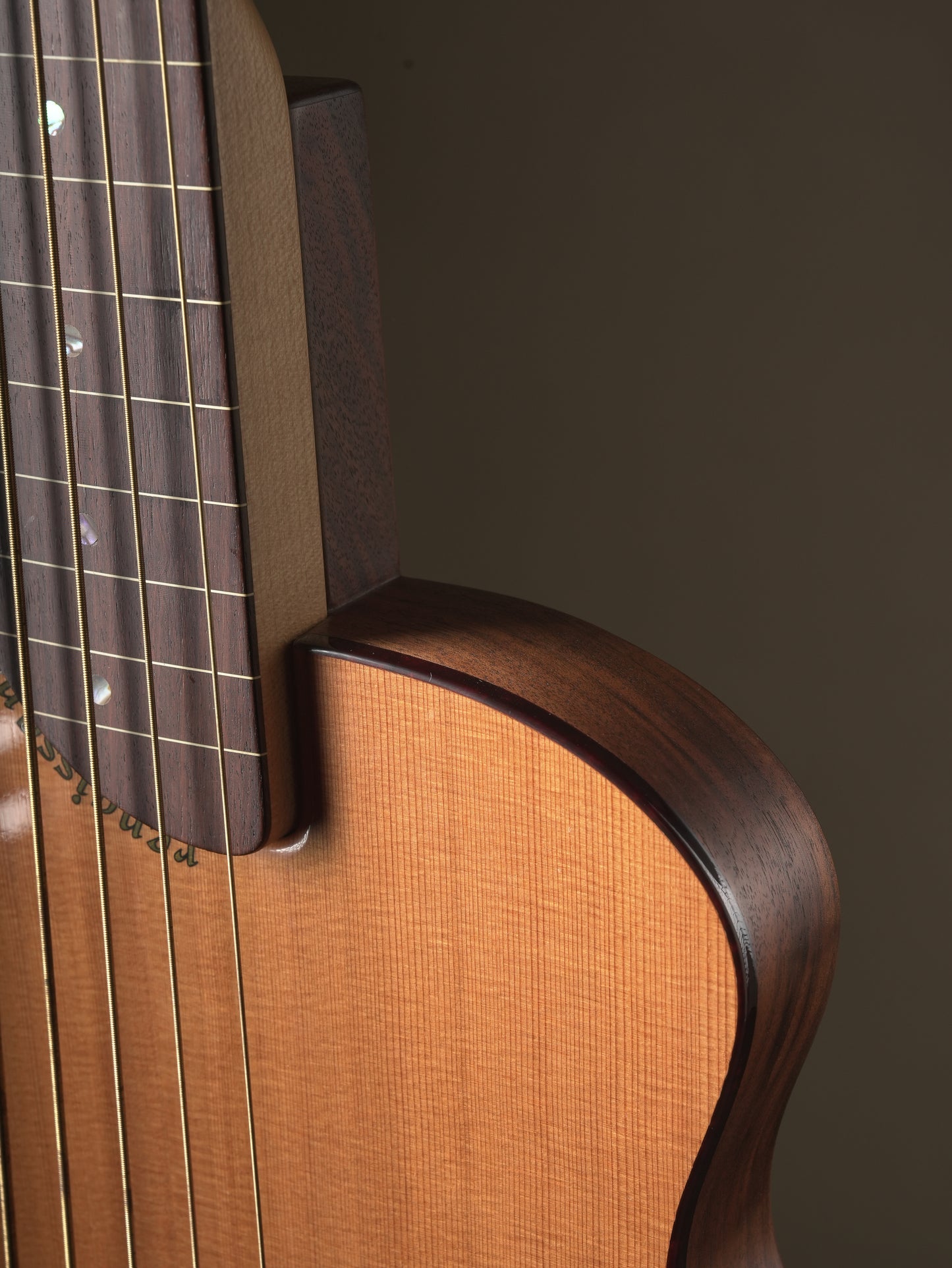 Rick Turner (2013) Renaissance RB5F 5 String Fretless Bass - Natural, incl. Gig Bag