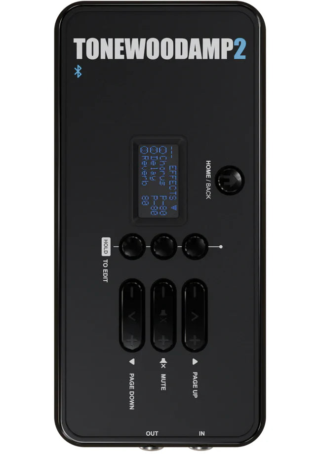 Tone Wood Amp 2