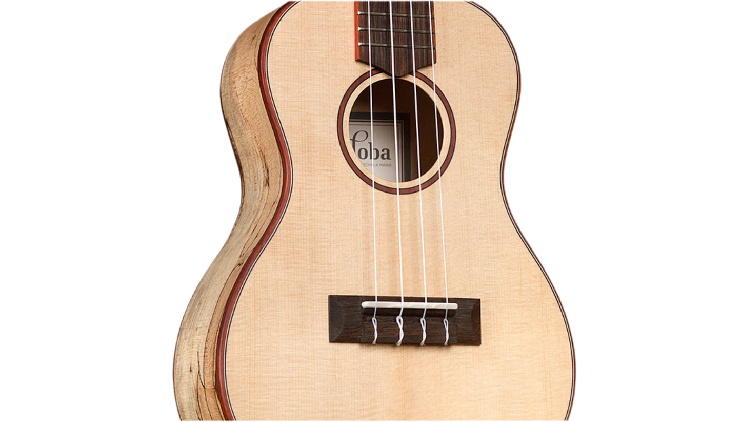 Cordoba 24C Concert Ukulele - Natural