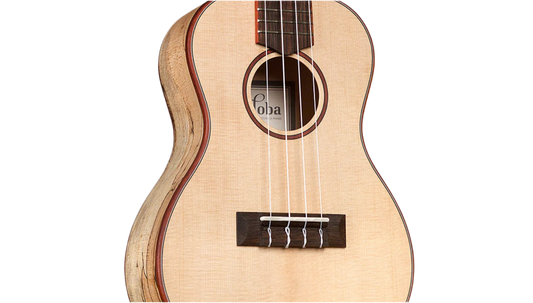 Cordoba 24C Concert Ukulele - Natural