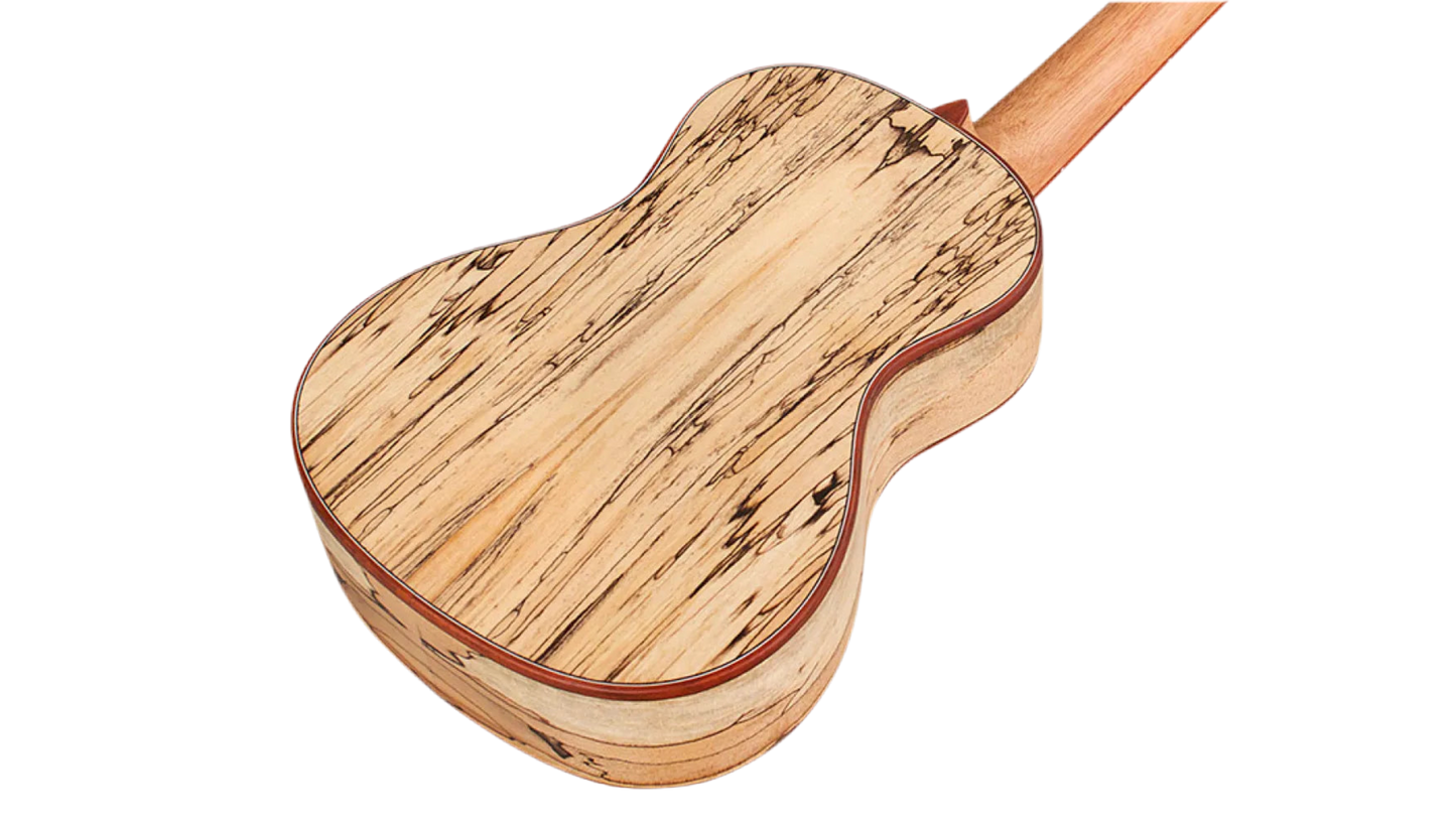 Cordoba 24C Concert Ukulele - Natural