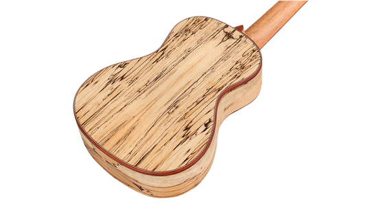 Cordoba 24C Concert Ukulele - Natural