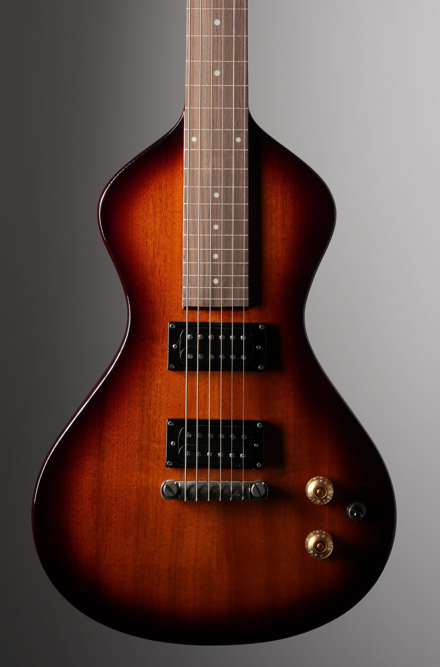Asher Electro Hawaiian Junior Lap Steel