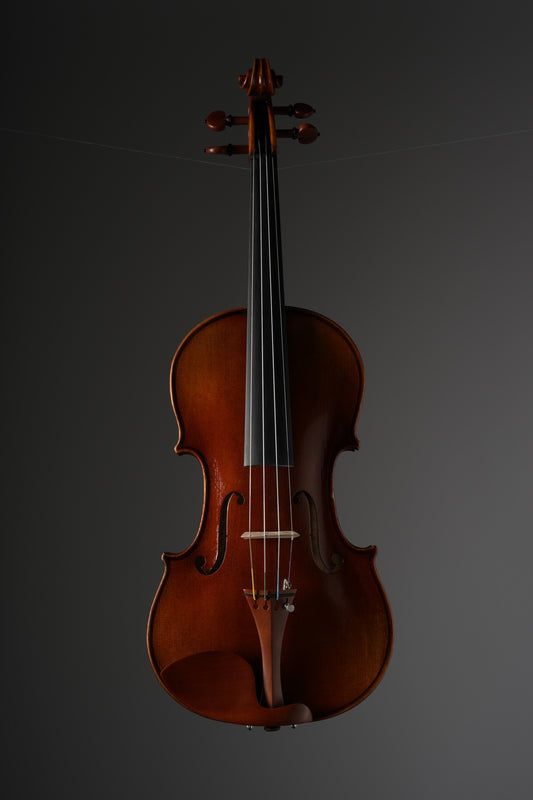 Cremona Violin SV-800 incl. case