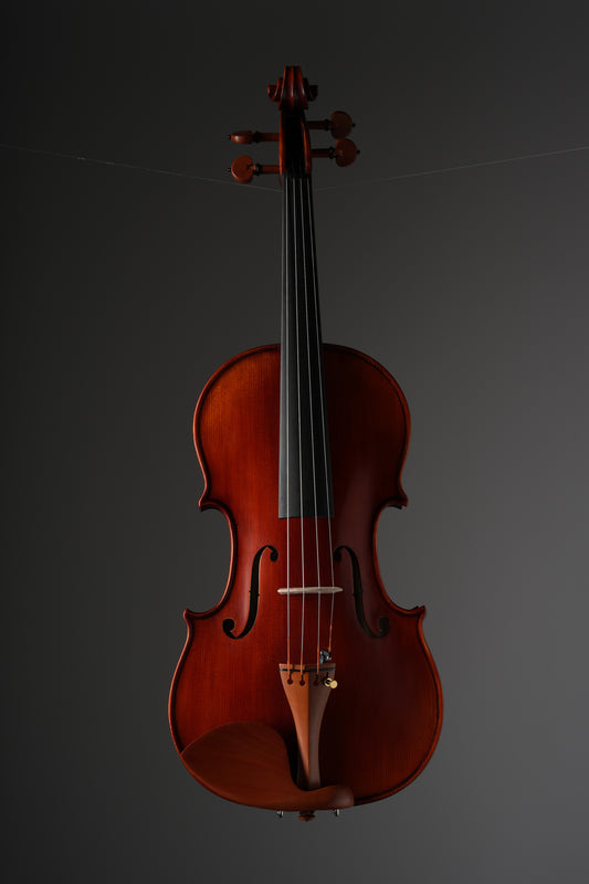Cremona Violin SV-1500 incl. case