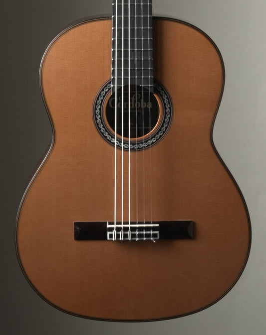 Cordoba C10 CD Classical Guitar - Natural, incl. OHSC