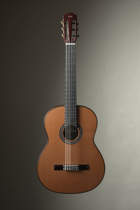 Cordoba C10 CD Classical Guitar - Natural, incl. OHSC