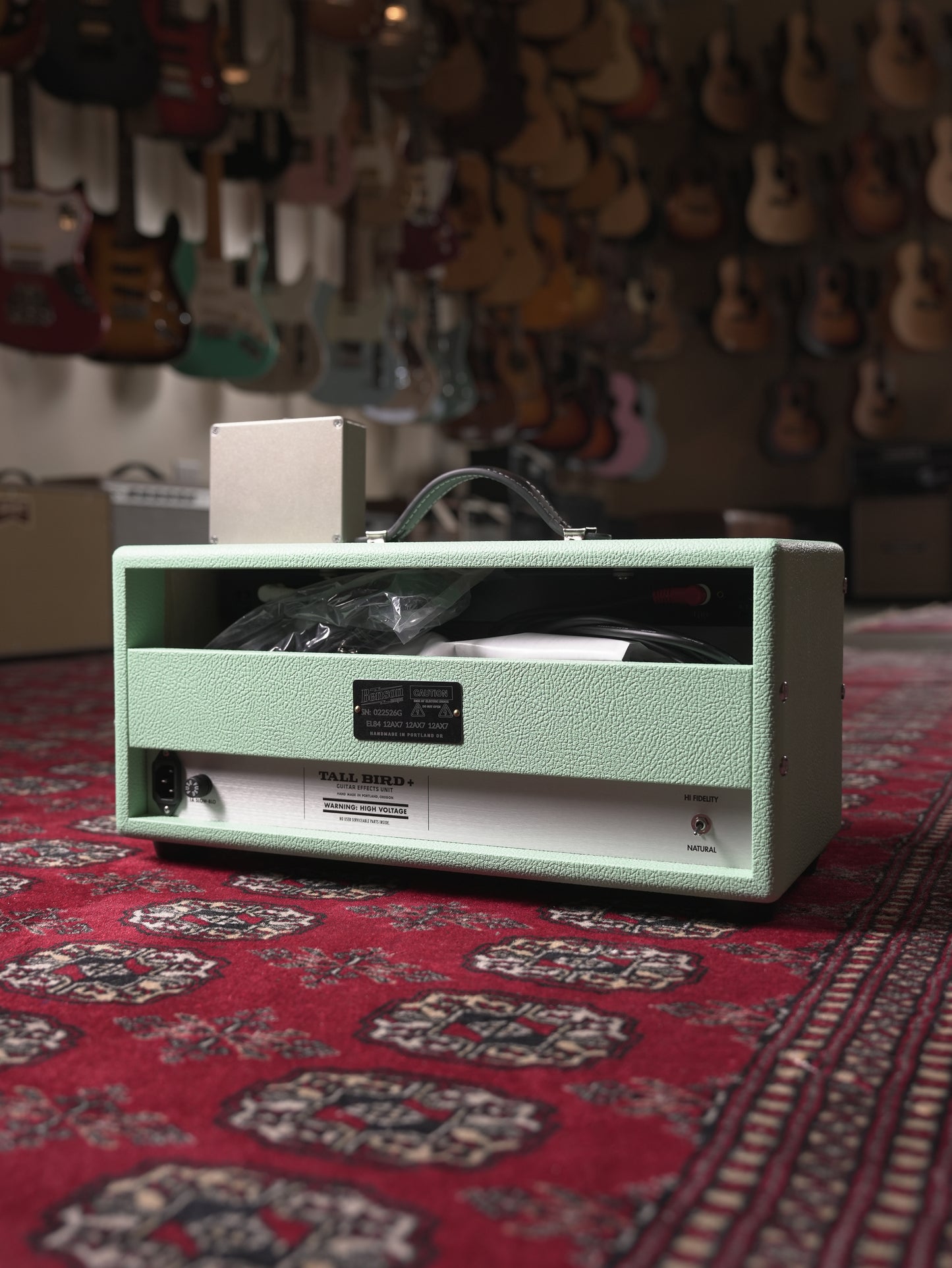 Benson Amplification Tall Bird Plus All-Tube Reverb & Tremolo Effects Unit - Seafoam Green