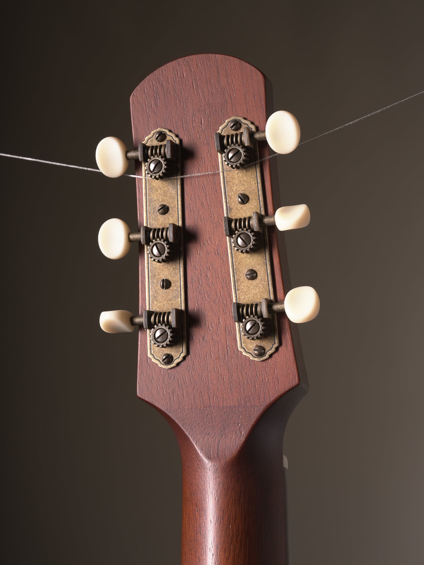Iris (2025) RCM-000 Acoustic Guitar - Cremona Burst, incl. OHSC