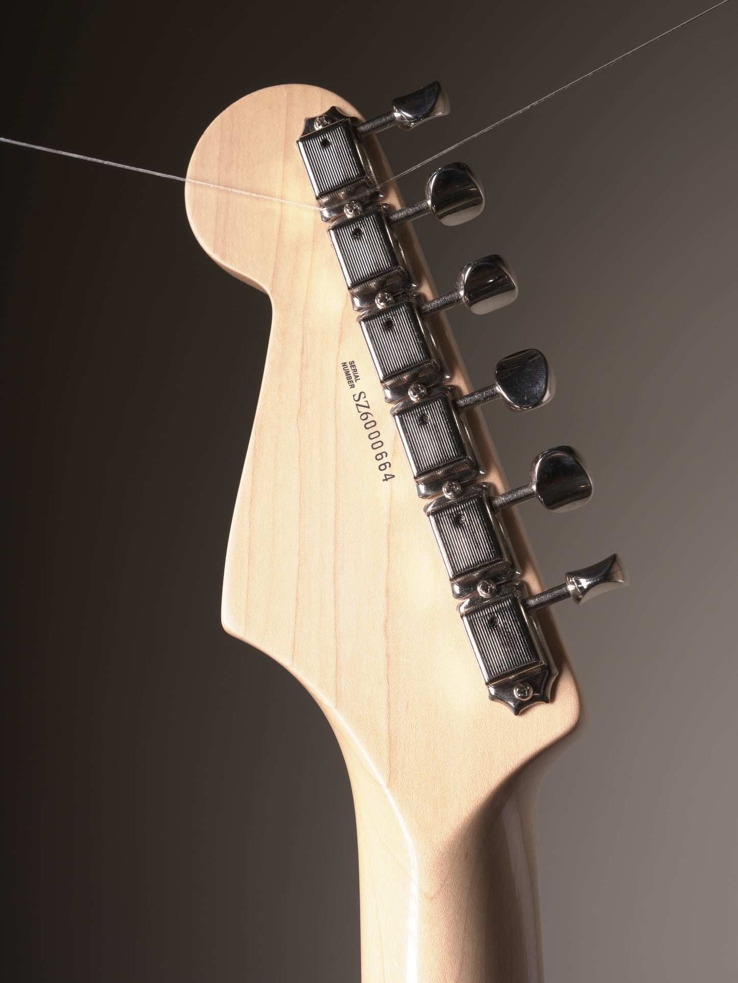 Fender (2006) Eric Clapton "Blackie" Stratocaster Electric Guitar - Black w. HSC