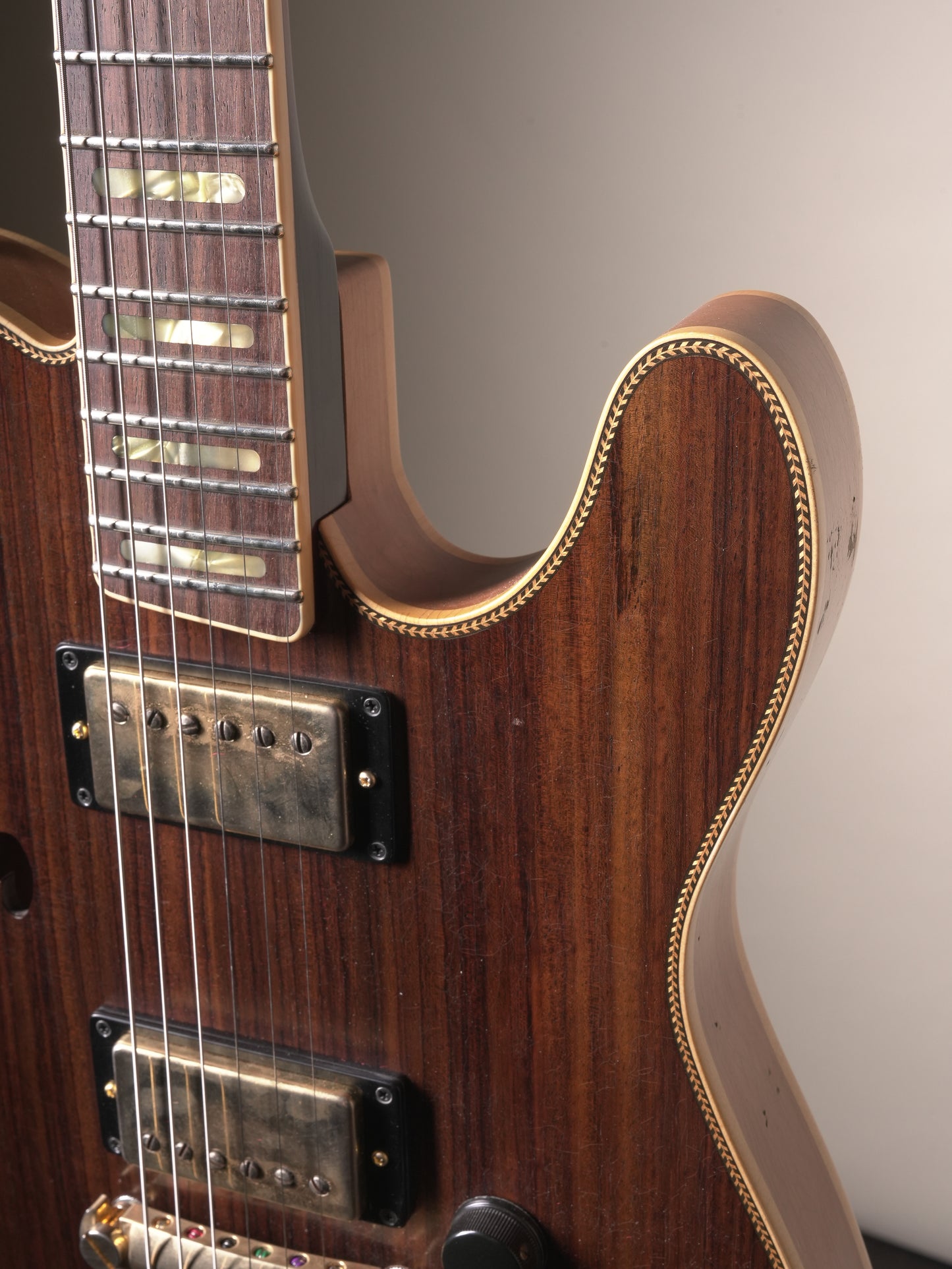 Castedosa Marianna Semi Hollow Electric Guitar - Rosewood, incl. OHSC