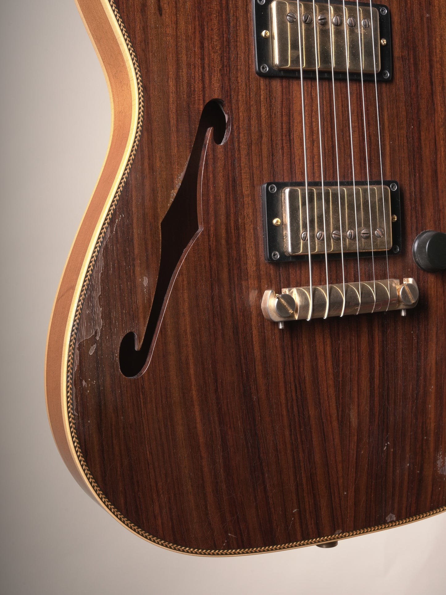 Castedosa Marianna Semi Hollow Electric Guitar - Rosewood, incl. OHSC