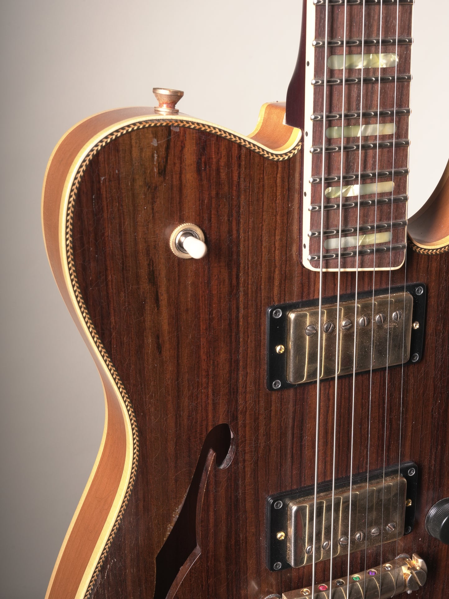 Castedosa Marianna Semi Hollow Electric Guitar - Rosewood, incl. OHSC