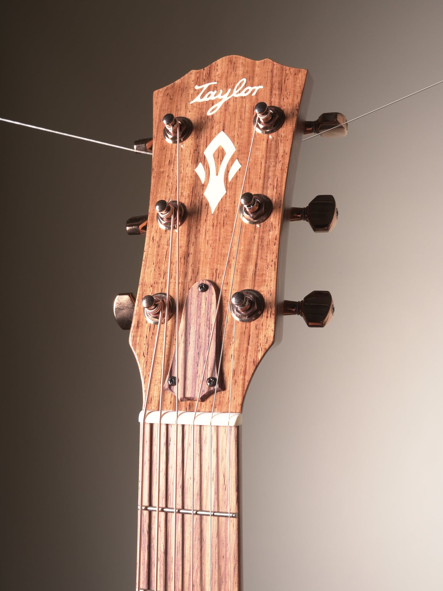 Taylor (2026) Ben Harper Signature Gold Label 512e SE Grand Concert Acoustic/Electric Guitar - Sunburst, incl. OHSC