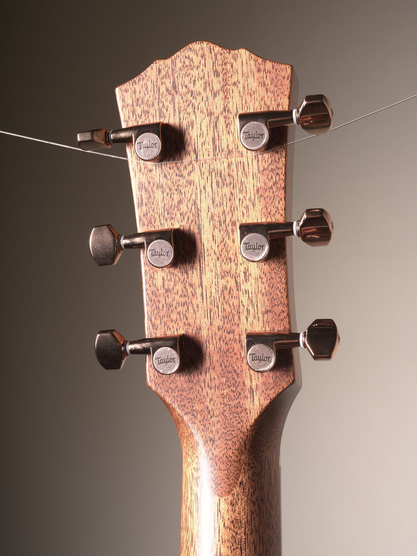 Taylor (2026) Ben Harper Signature Gold Label 512e SE Grand Concert Acoustic/Electric Guitar - Sunburst, incl. OHSC