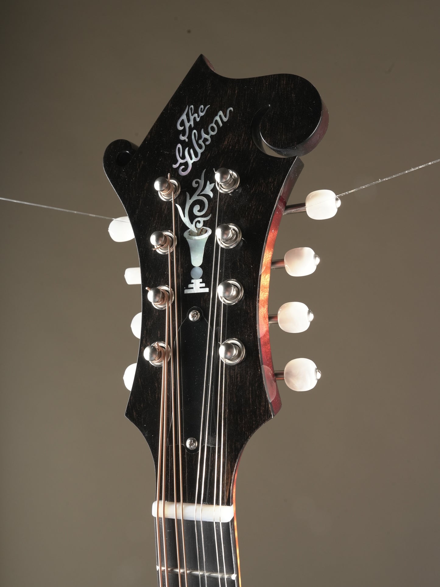 Gibson F-5G Mandolin - Dark Burst, incl. OHSC