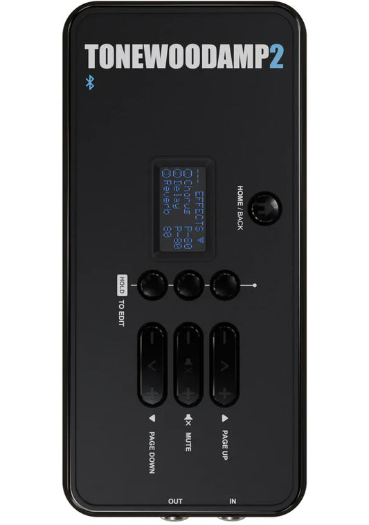 Tone Wood Amp 2