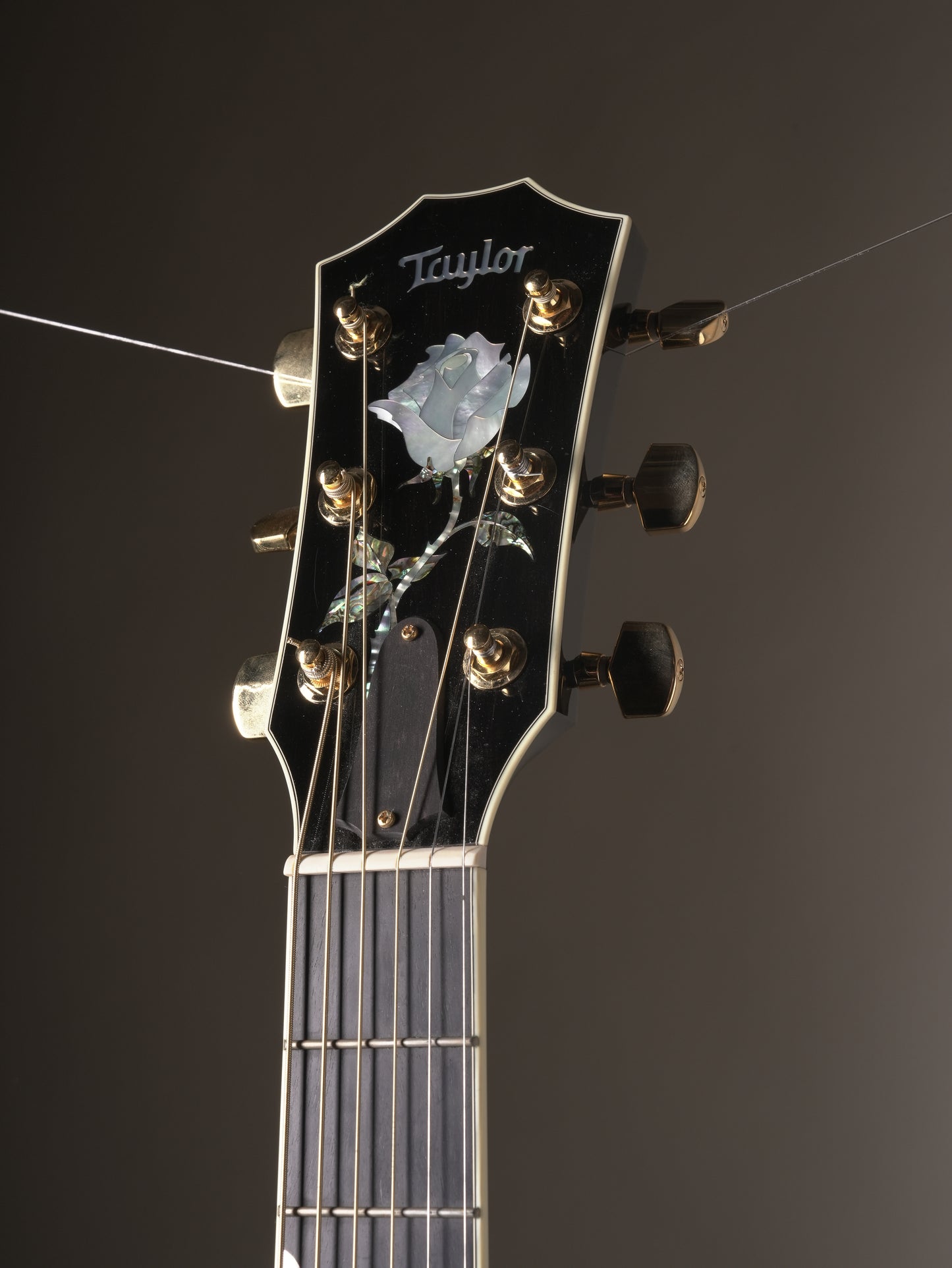 Taylor (2004) DDSM Doyle Dykes Signature Acoustic Guitar - Black, incl. OHSC