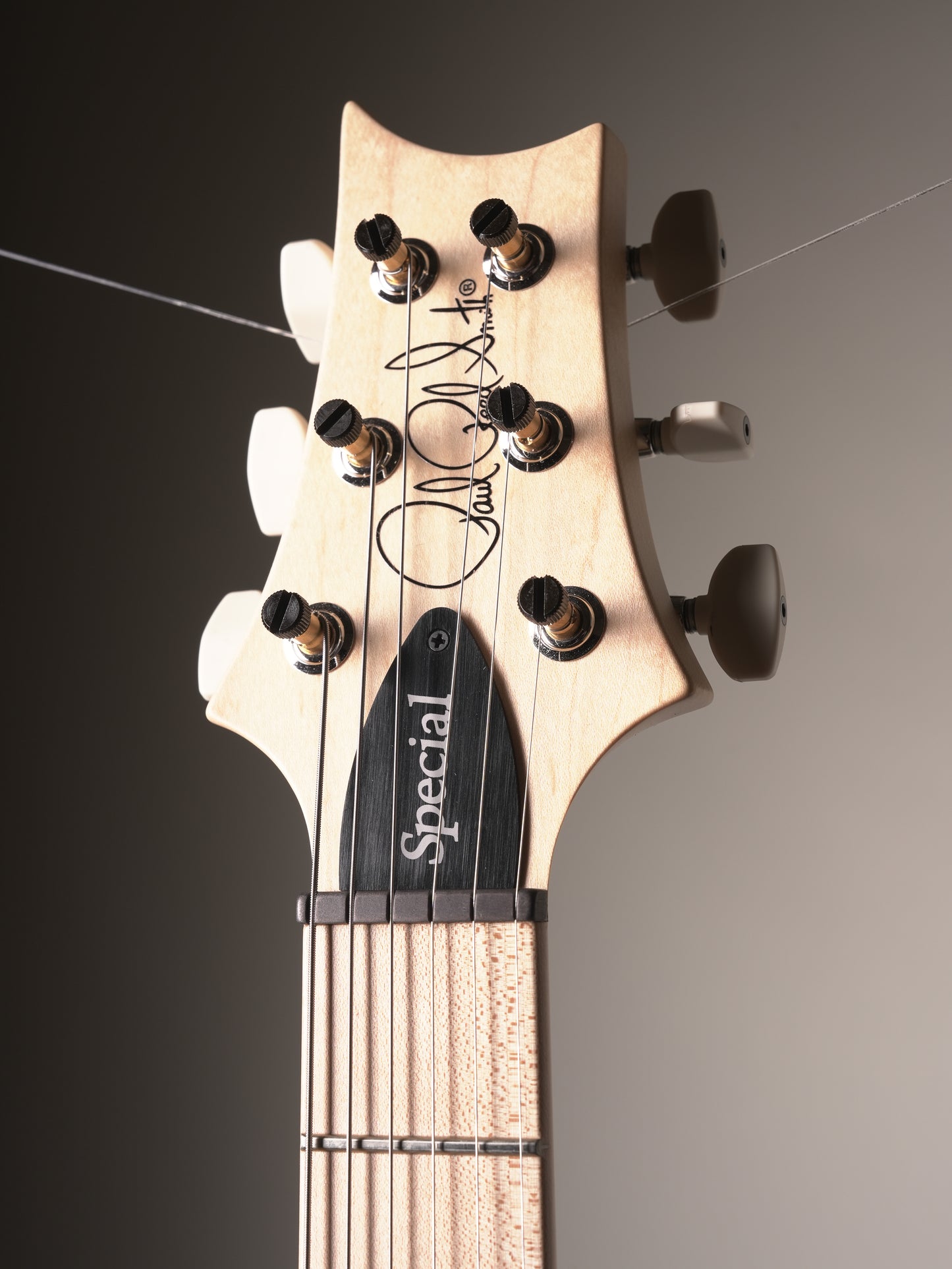 Paul Reed Smith Swamp Ash Special Black Doghair Smokeburst Electric Guitar - incl. Original Deluxe Gig Bag