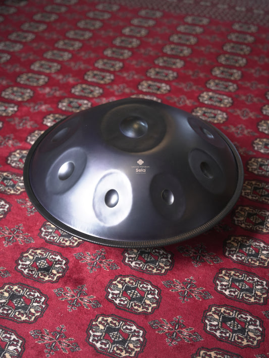Sela - Melody Handpan D Amara - Stainless Steel