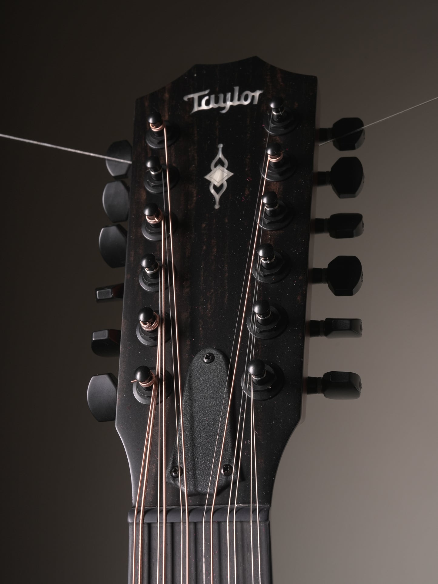 Taylor (2020) 362ce Tropical Mahogany 12-String Acoustic-Electric Guitar - Shaded Edge Burst, w/OHSC