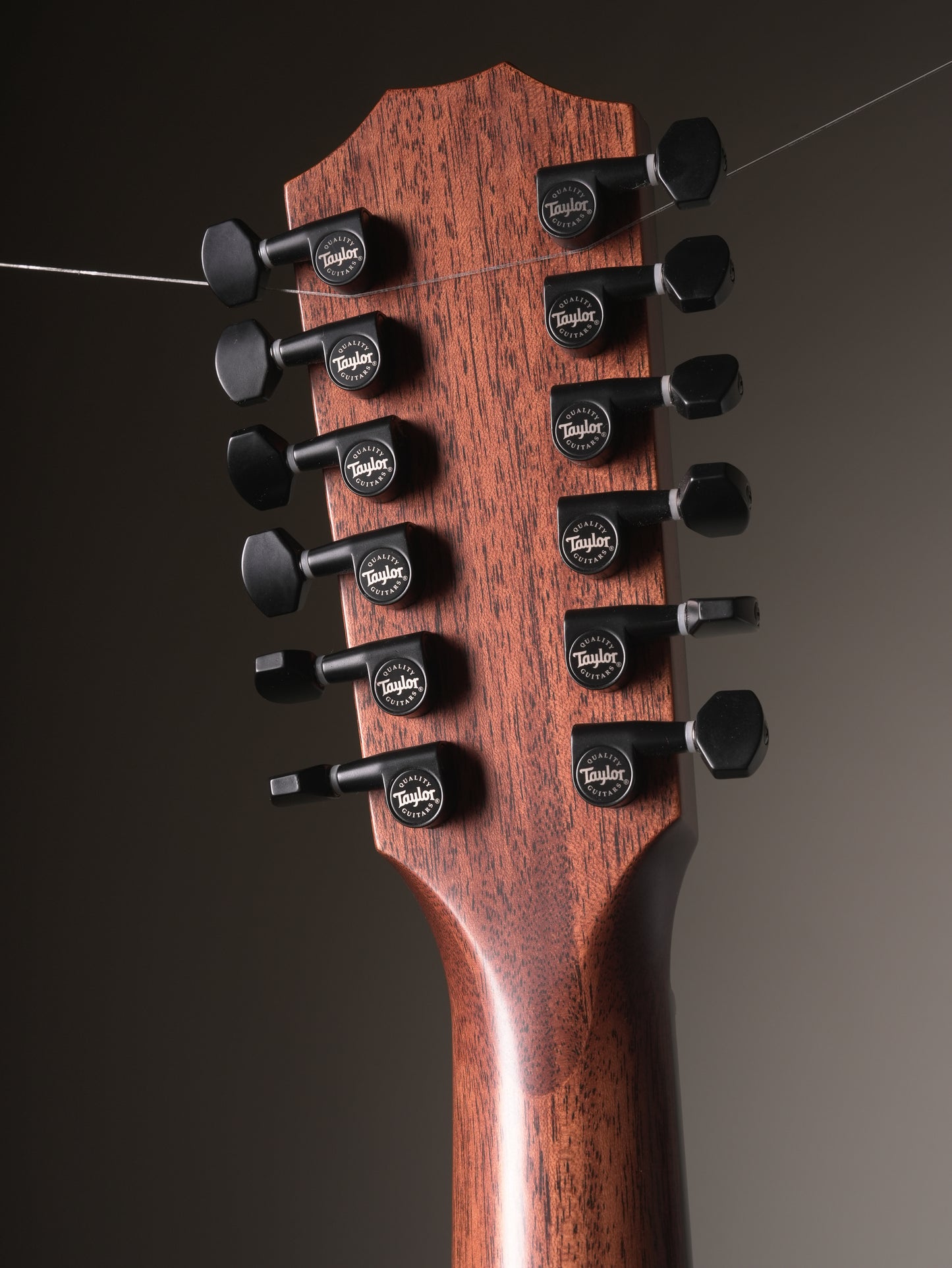 Taylor (2020) 362ce Tropical Mahogany 12-String Acoustic-Electric Guitar - Shaded Edge Burst, w/OHSC