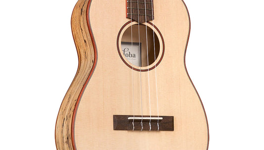 Cordoba 24b Spruce Baritone Ukulele